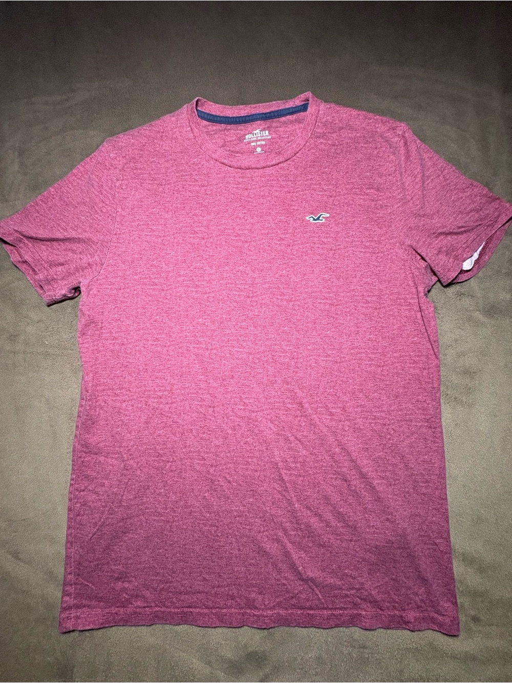 Hollister Heather Burgundy Embroidered Seagull T-Shirt – Size Large